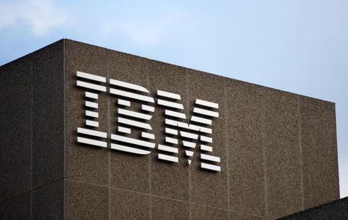 曹曉潔 從?？粕娇鐕緺?zhēng)搶的人才奇跡